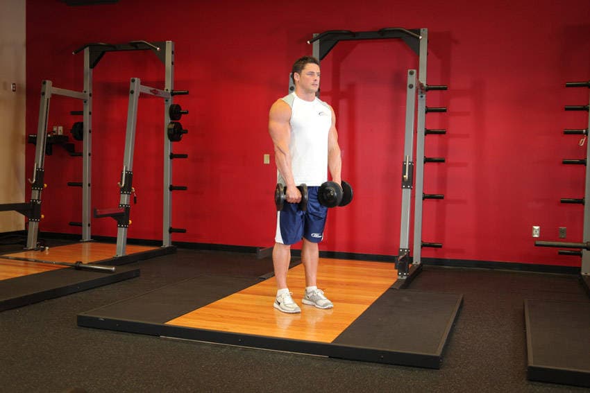 Standing Dumbbell Reverse Curl, position 1 of 2