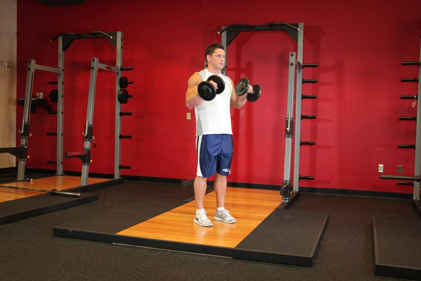 Standing Dumbbell Reverse Curl, position 2 of 2