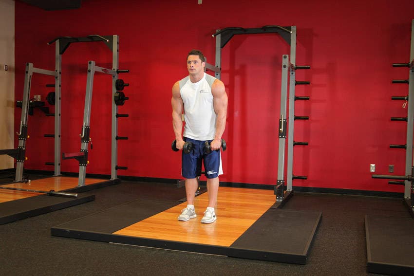 Standing Dumbbell Straight-Arm Front Delt Raise Above Head, position 1 of 2