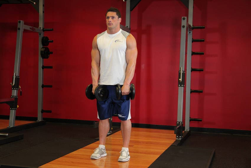 Standing Dumbbell Upright Row, position 2 of 2