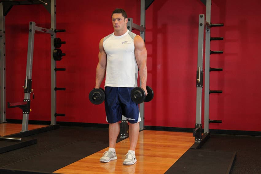 Standing Inner-Biceps Curl, position 1 of 2