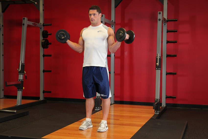 Standing Inner-Biceps Curl, position 2 of 2