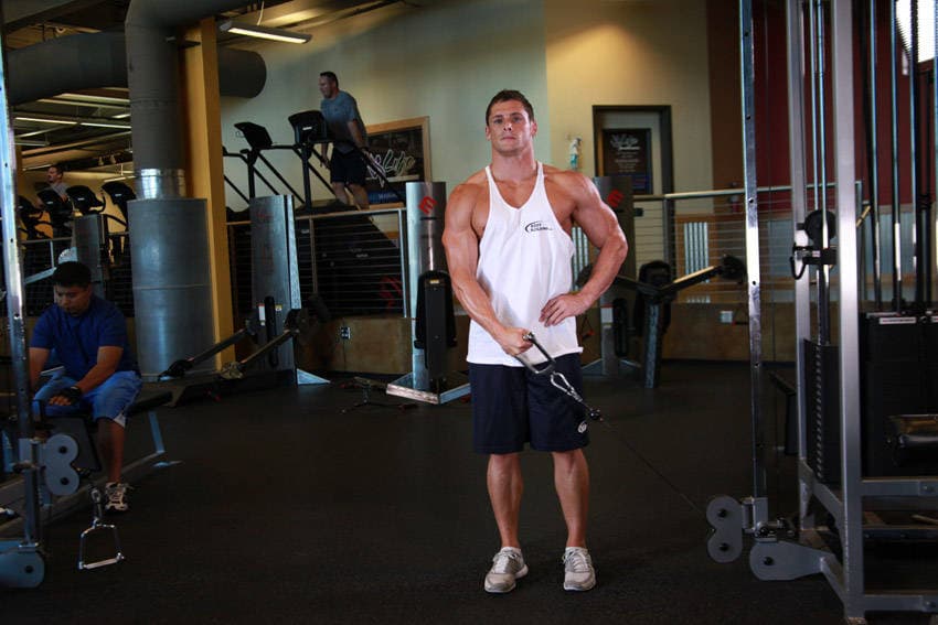 Standing Low-Pulley Deltoid Raise, position 2 of 2