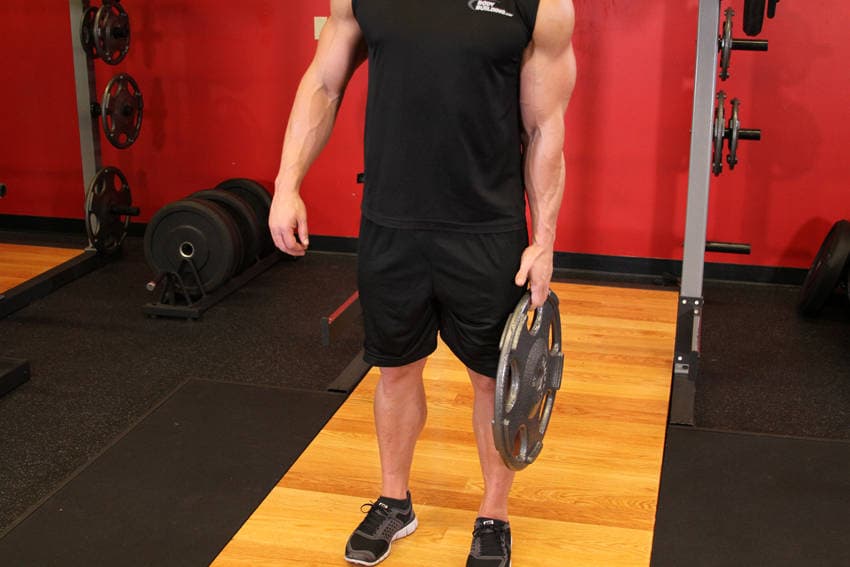 Standing Olympic Plate Hand Squeeze, position 1 of 2