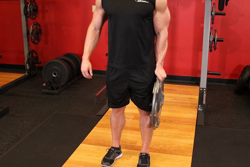 Standing Olympic Plate Hand Squeeze, position 2 of 2