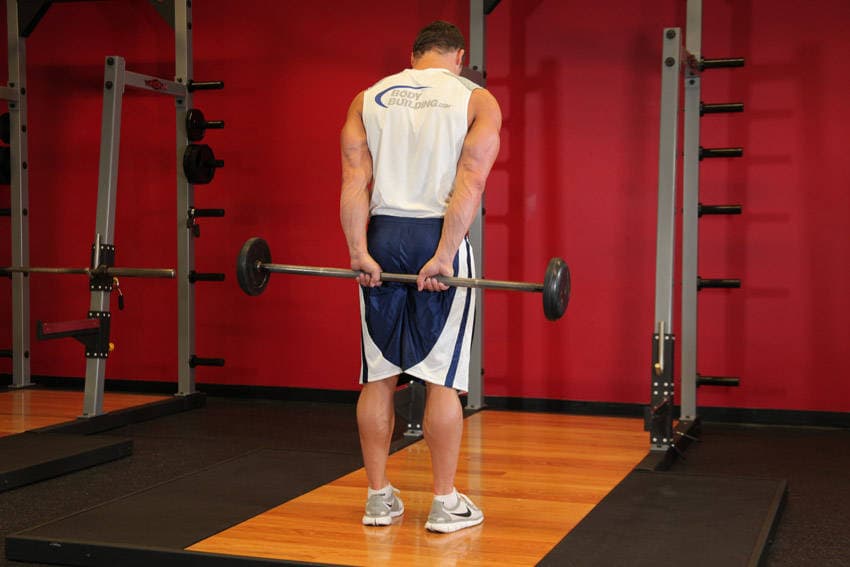 Standing Palms-Up Barbell Behind The Back Wrist Curl, position 2 of 2