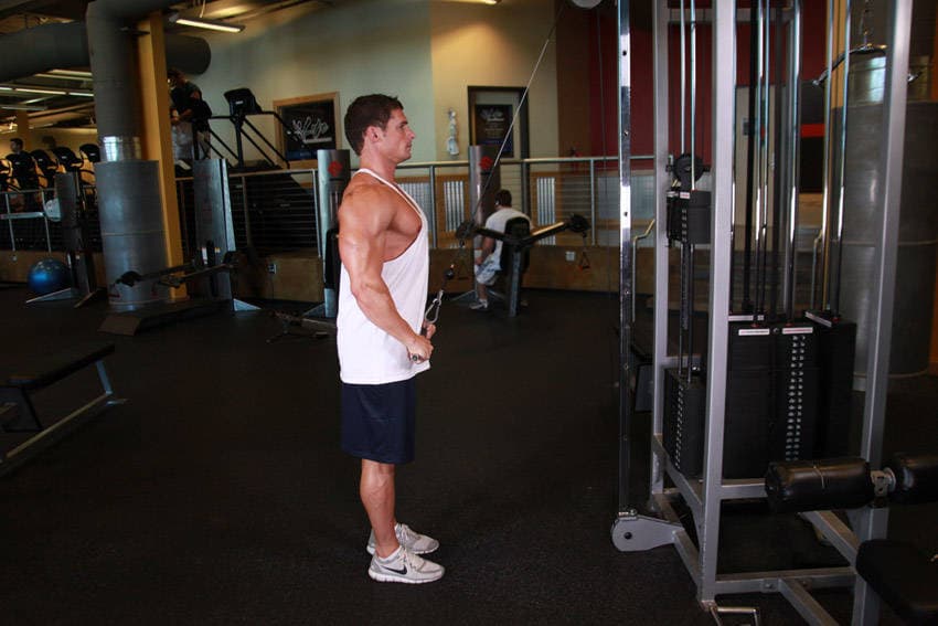 Straight-Arm Pulldown, position 2 of 2