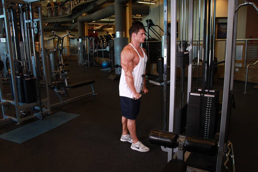 Triceps Pushdown, position 2 of 2
