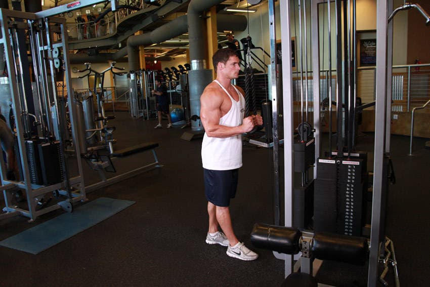 Triceps Pushdown - Rope Attachment, position 1 of 2