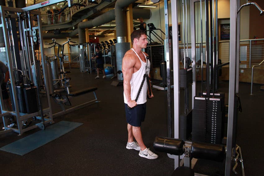 Triceps Pushdown - Rope Attachment, position 2 of 2