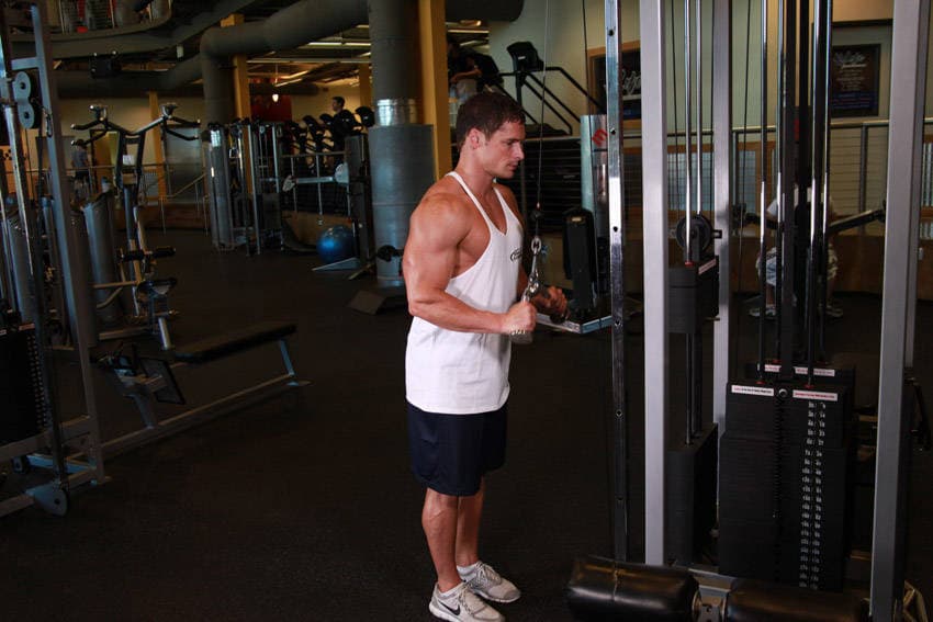 Triceps Pushdown - V-Bar Attachment, position 1 of 2