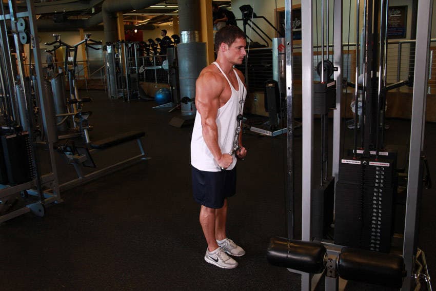 Triceps Pushdown - V-Bar Attachment, position 2 of 2