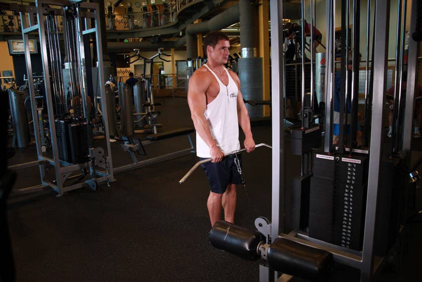 Upright Cable Row, position 2 of 2